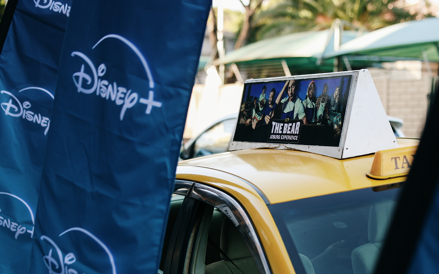 Disney+ – The Bear Joburg Experience